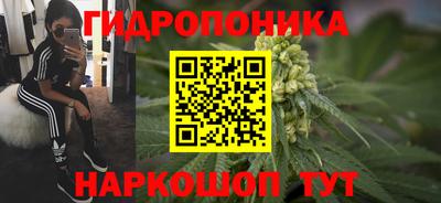 стафф Партизанск